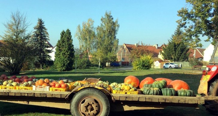 Kup si dýni_Stebno (2).JPG